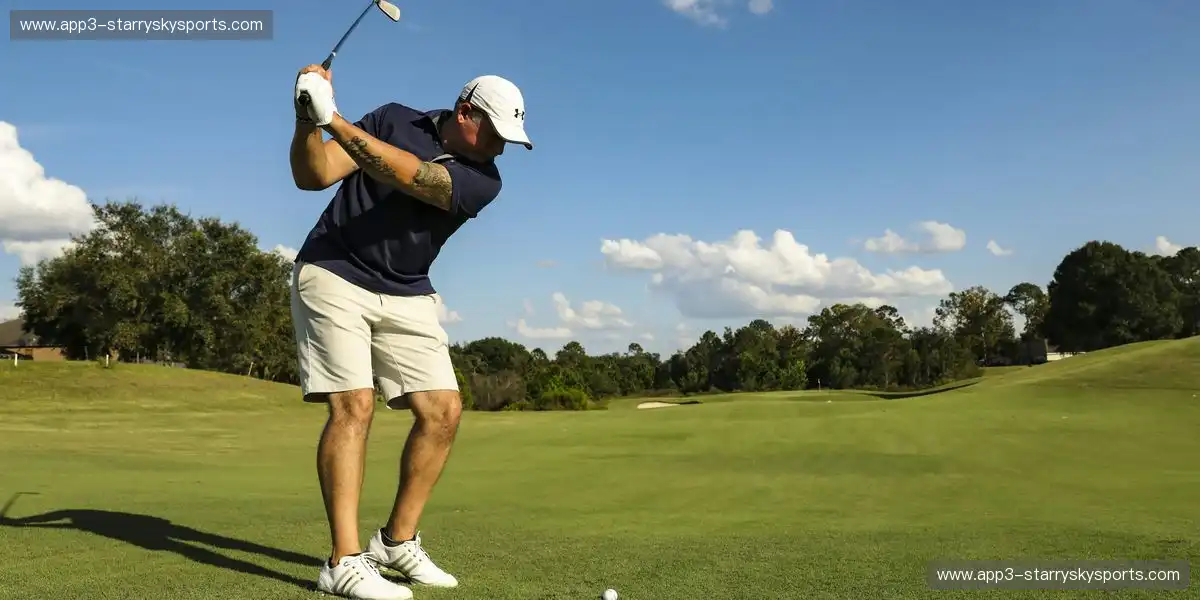 体育协作团队结构更加优化